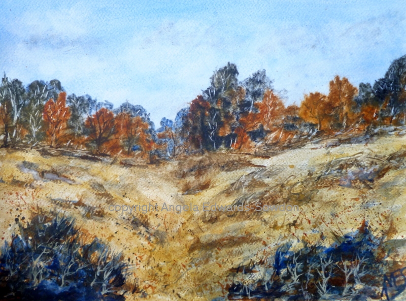 Shropshire Artist  Woodland Autumn landscape